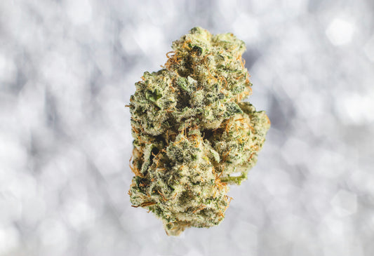 Close up of THCa flower
