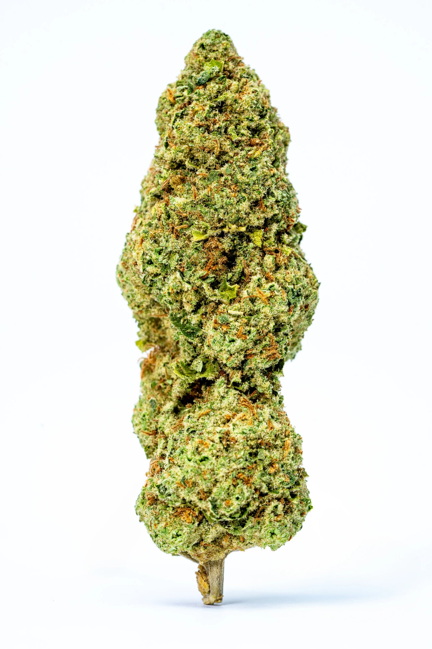 Cookies & Cream Indoor THCa Flower