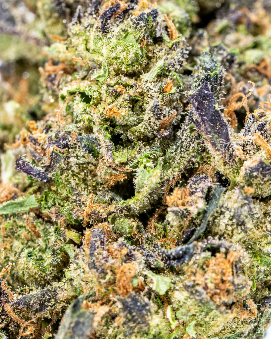 Gelato Indoor THCa Flower