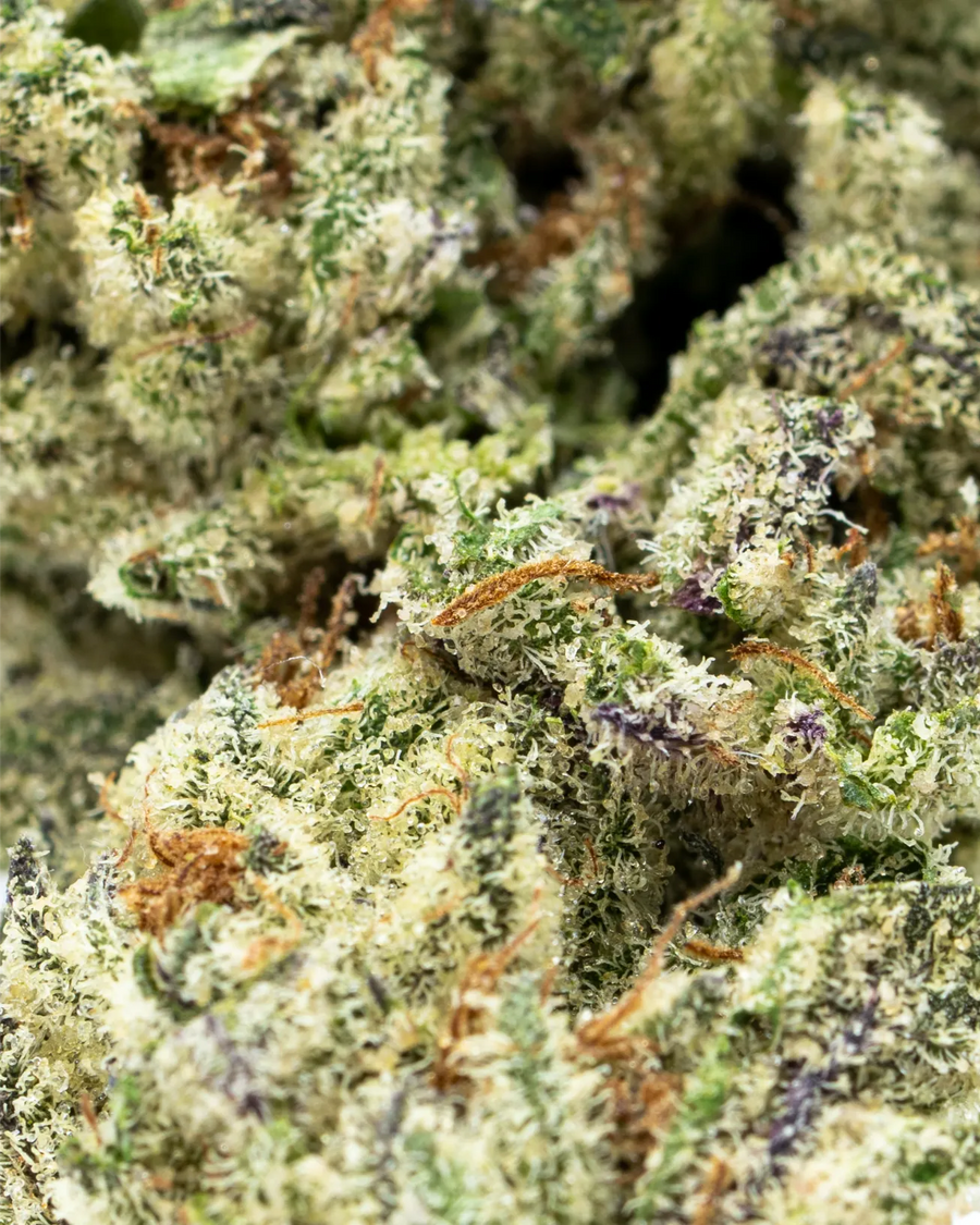 Hood Candy Indoor THCa Flower