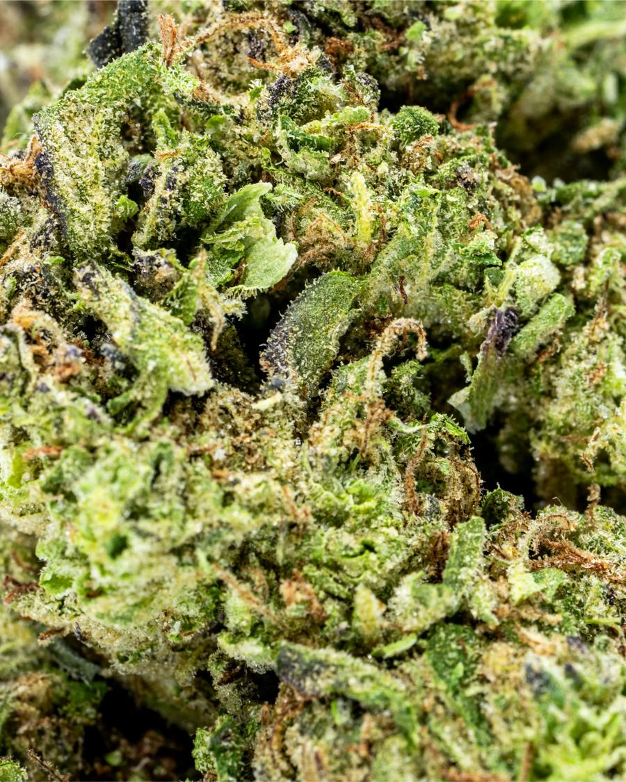 Jolly Green Giant THCa Flower