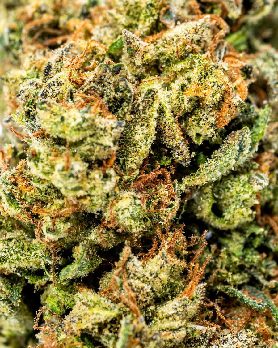 Stellar Days THCa Flower