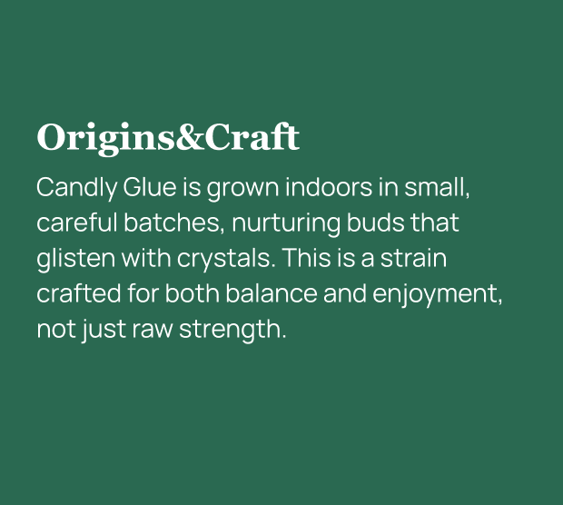 Candy Glue Indoor THCa Flower