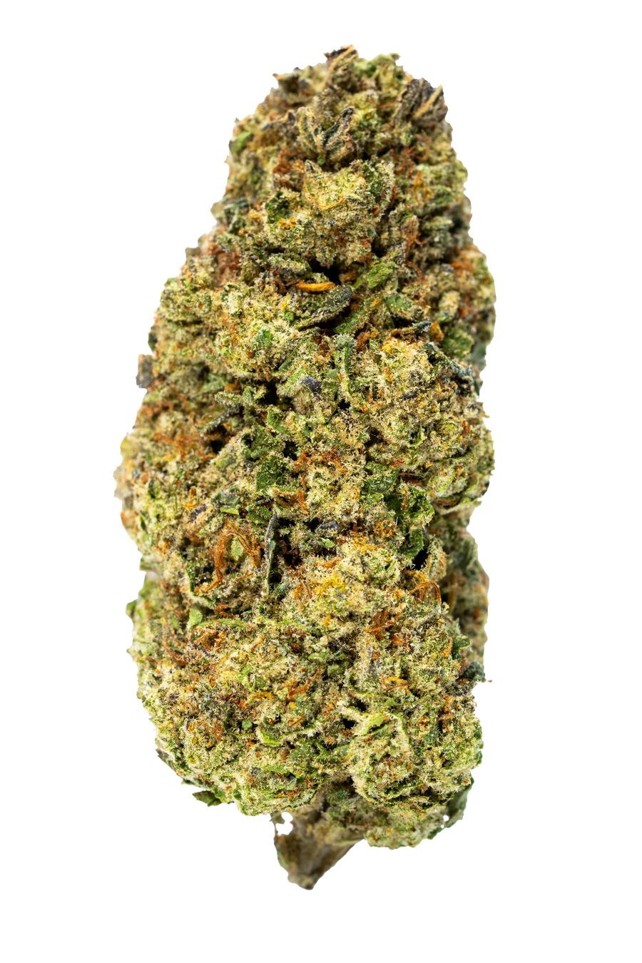 Sherb Scotty THCa Flower