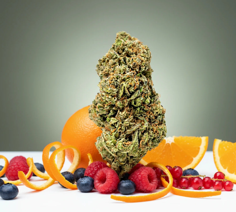 Stellar Days THCa Flower