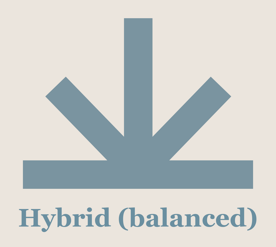 Peach Delta 9 THC Gummies