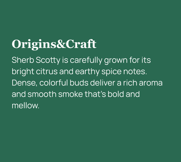 Sherb Scotty THCa Flower