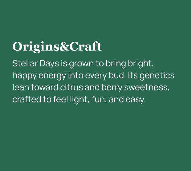 Stellar Days THCa Flower