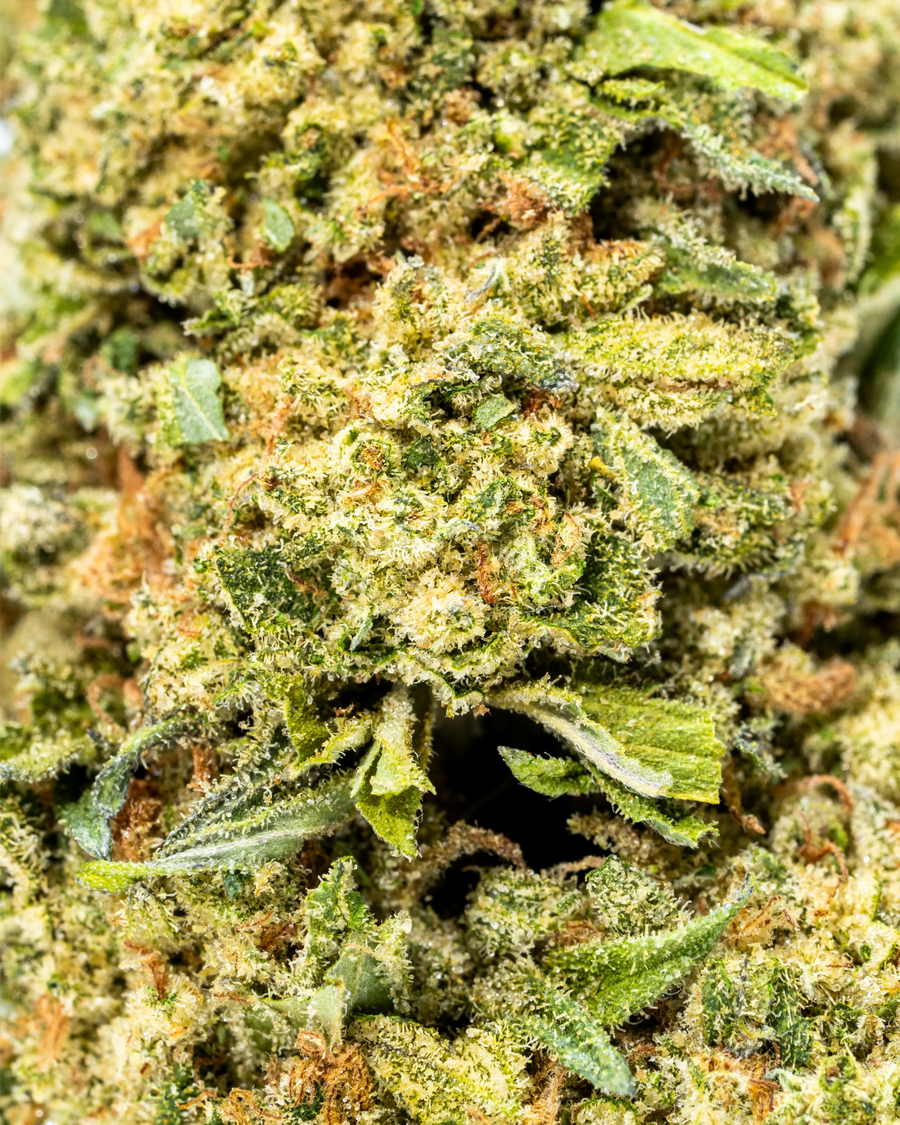 Amaretto Sour THCa Flower