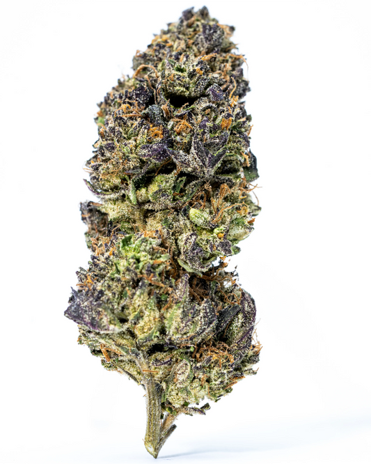 Black Runtz Indoor THCa Flower