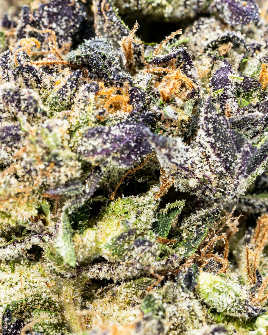 Black Runtz Indoor THCa Flower