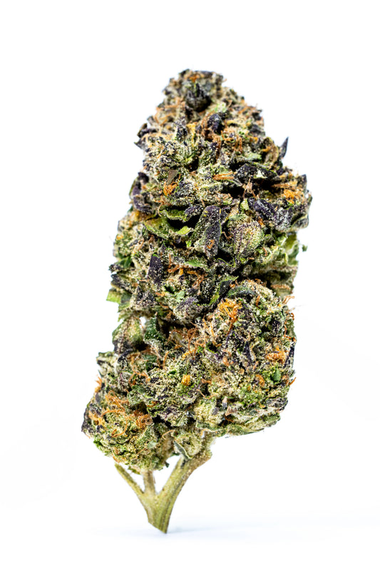 Candy Glue Indoor THCa Flower