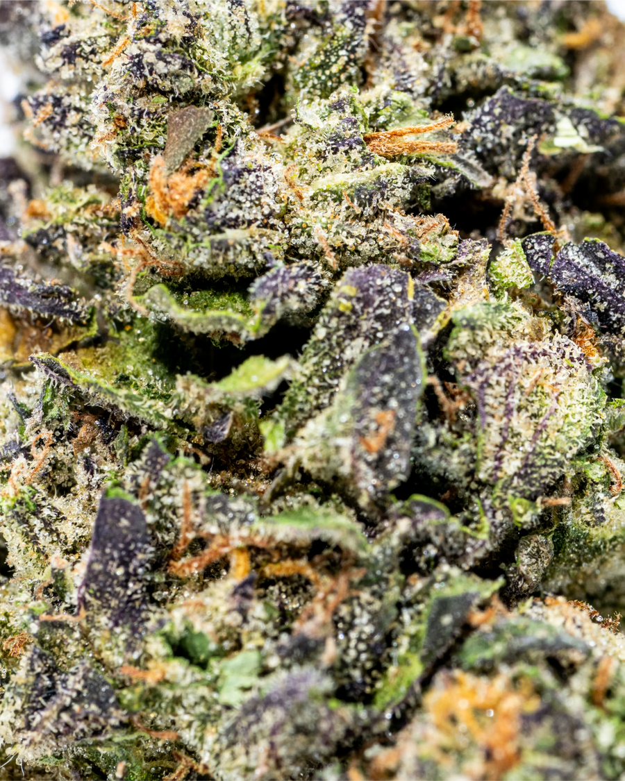 Candy Glue Indoor THCa Flower