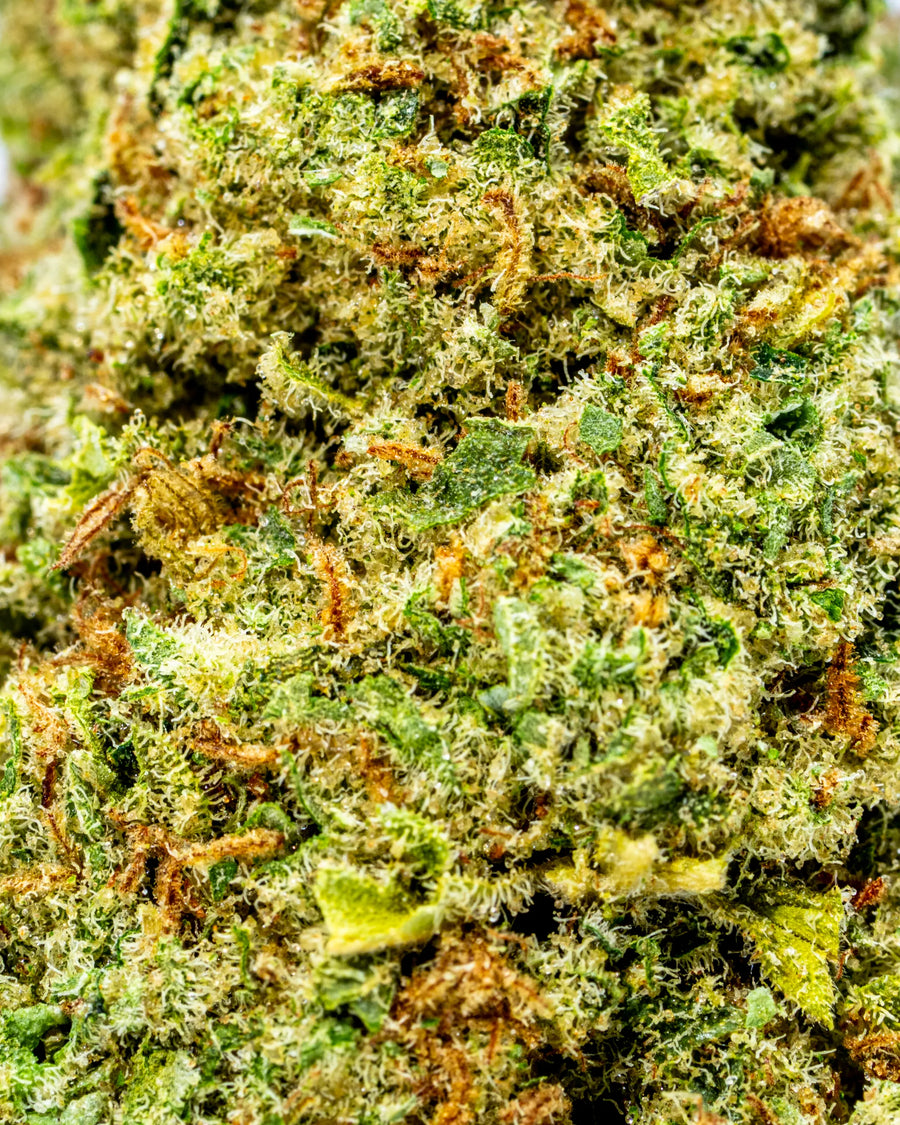 Cookies & Cream Indoor THCa Flower