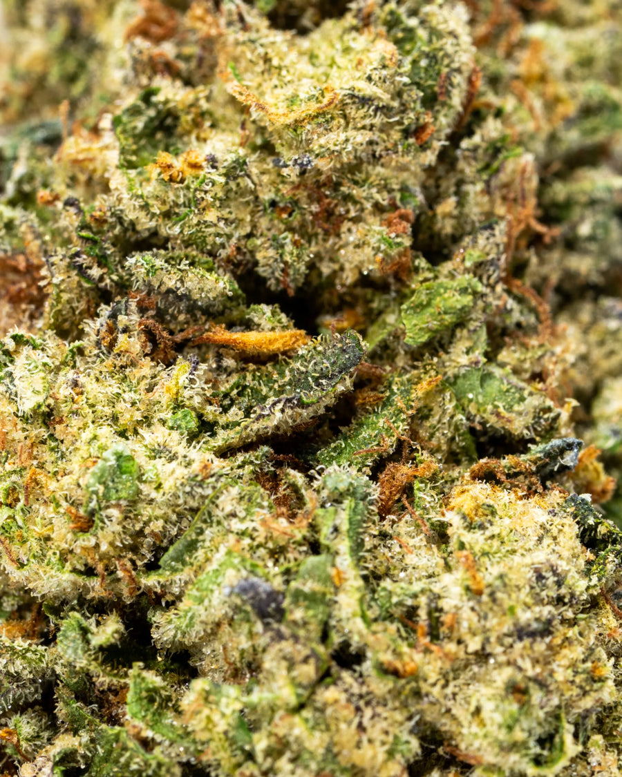 Sherb Scotty THCa Flower