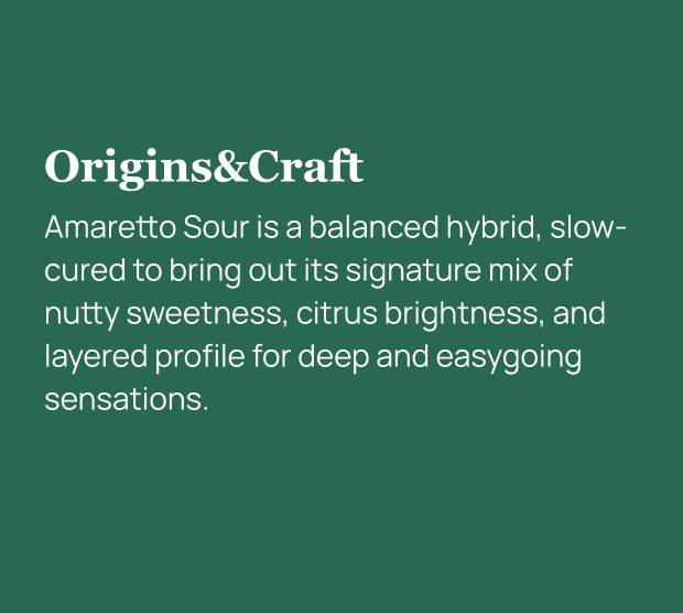 Amaretto Sour THCa Flower