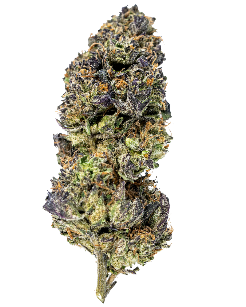 Black Runtz Indoor THCa Flower