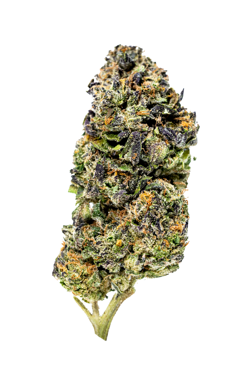 Candy Glue Indoor THCa Flower