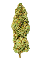 Cookies & Cream Indoor THCa Flower