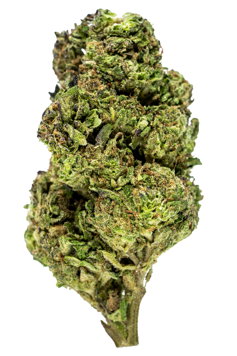 Jolly Green Giant THCa Flower