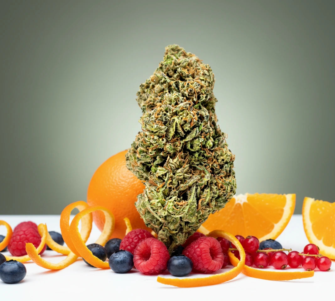 Stellar Days THCa Flower